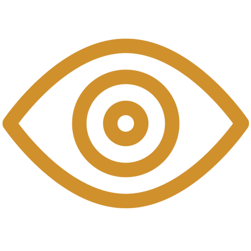 vision